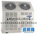 装修案例：多联机 多联空调机组介绍 成都格力中央空调