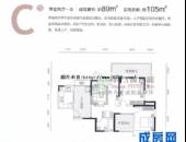 公元西,户型图,点击放大