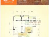 比华利国际城,户型图,点击放大