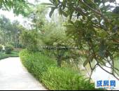 东骏湖景湾,小区环境,点击放大