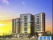 鑫盛白兰地-外观图