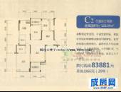 棠湖泊林镇,户型图,点击放大