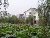 锦宏·鹰冠庄园,小区环境,点击放大