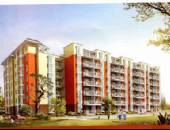 丽阳嘉园3期,小区环境,点击放大