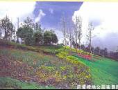 蓝光·诺丁山2期,小区环境,点击放大