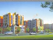 四季花香,小区环境,点击放大