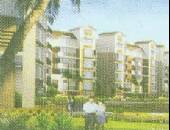 恋日家园3期-外观图