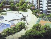 世纪朝阳,小区环境,点击放大