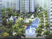 世纪朝阳-外观图