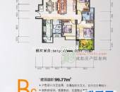 花样年花郡,户型图,点击放大