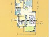 水岸雅居,户型图,点击放大