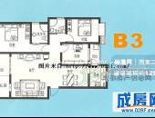 芙蓉花开,户型图,点击放大