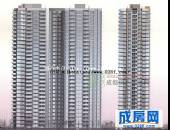 大陆紫云金沙-外观图