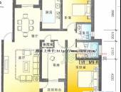 爱琴岛,户型图,点击放大