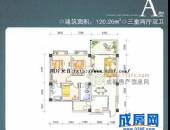 上都,户型图,点击放大