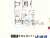 毗河雅苑,户型图,点击放大