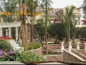 香颂岛,小区环境,点击放大