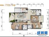 丽都帝景,户型图,点击放大