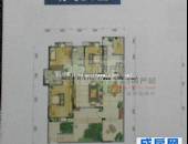 大华水映岛,户型图,点击放大