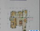 大华水映岛,户型图,点击放大