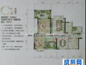 蓝光·富丽城,户型图,点击放大