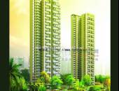 紫东芯座-外观图