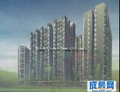 天府金花-外观图