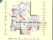 成南锦秀,户型图,点击放大