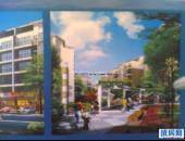 金丽花香-外观图