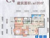 东立光华杏林,户型图,点击放大