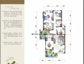 锦绣森邻,户型图,点击放大