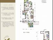 锦绣森邻,户型图,点击放大