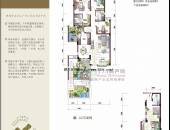 锦绣森邻,户型图,点击放大