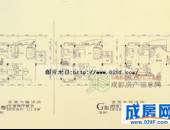 大观城市花园,户型图,点击放大