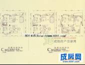 大观城市花园,户型图,点击放大