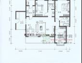 丽水金都,户型图,点击放大