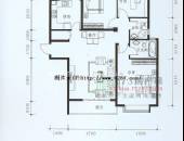丽水金都,户型图,点击放大
