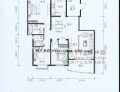 丽水金都,户型图,点击放大