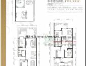 西贵堂,户型图,点击放大