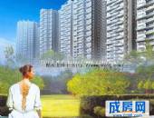 华楠半岛,小区环境,点击放大