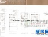 彭湖湾,户型图,点击放大