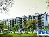 胜地金芙蓉-外观图