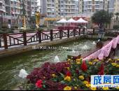 江山多娇,小区环境,点击放大