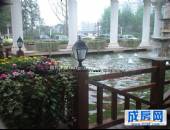 江山多娇,小区环境,点击放大