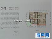 华润翡翠城,户型图,点击放大