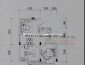 美洲·多伦多城堡,户型图,点击放大