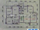 金丽花香,户型图,点击放大