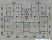 金丽花香,户型图,点击放大