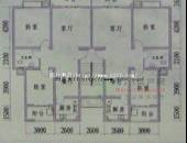 金丽花香,户型图,点击放大