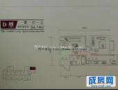 仁和金沙,户型图,点击放大